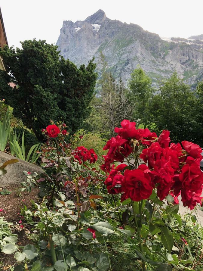 Chalet Zur Hoehe Grindelwald Bagian luar foto